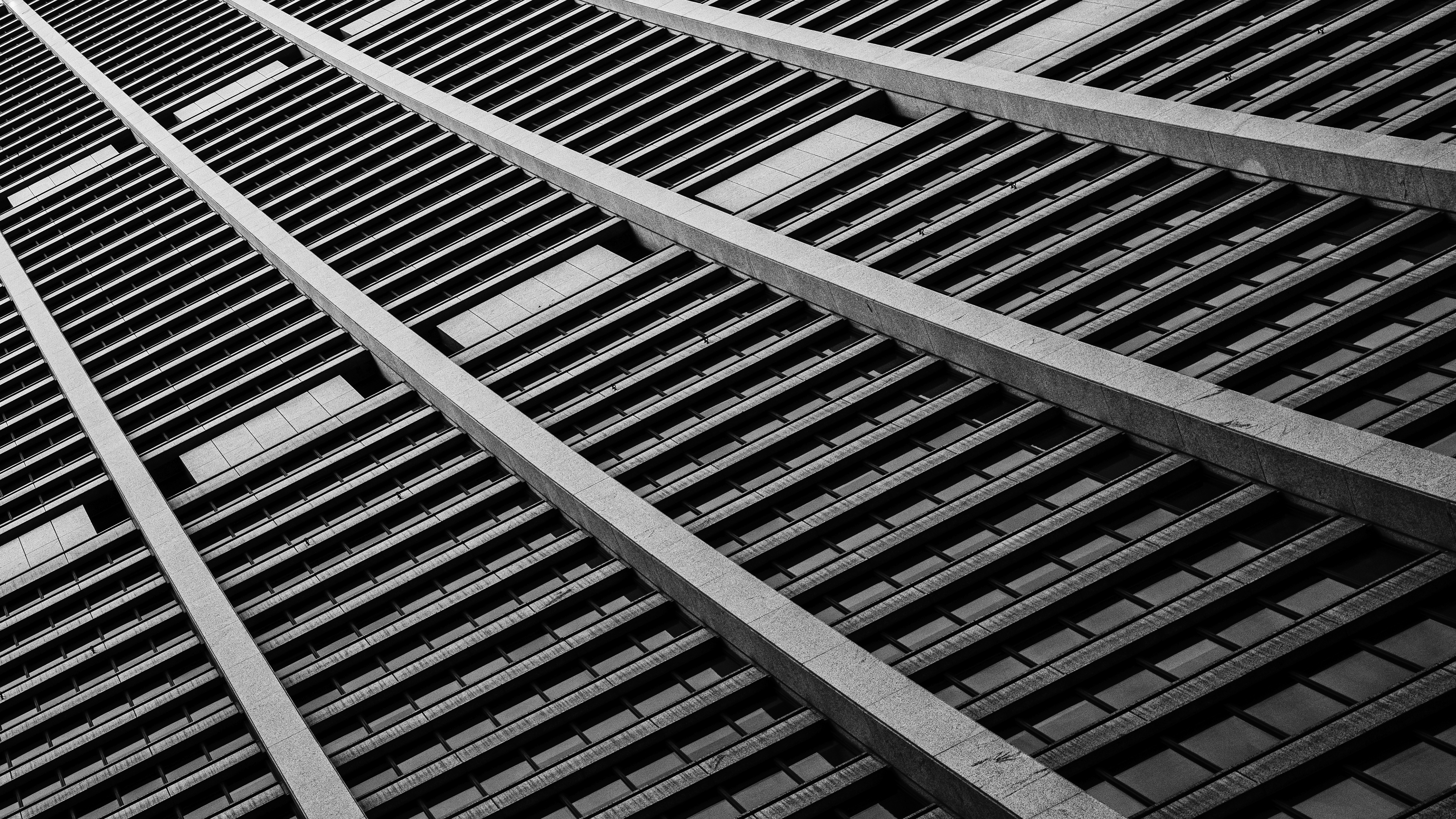 _DSC2658